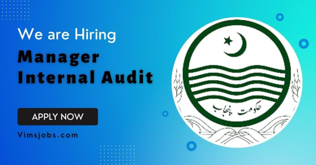 Manager Internal Audit