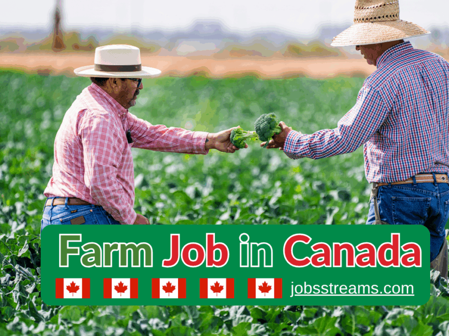 Farm Worker Job In Canada