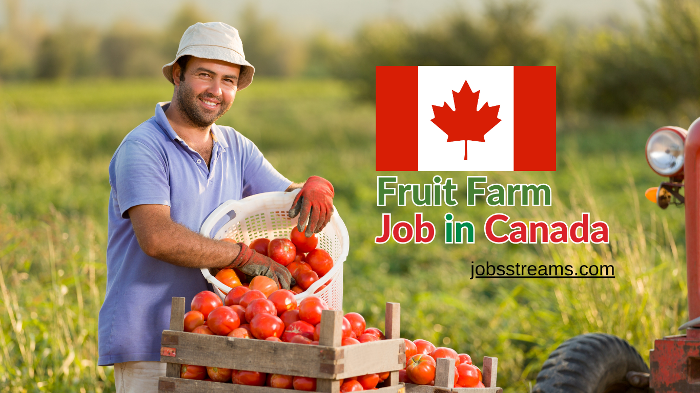 Fruit Farm Laborer Job