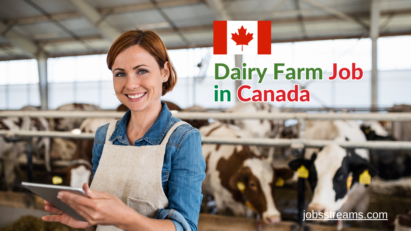dairy farm worker